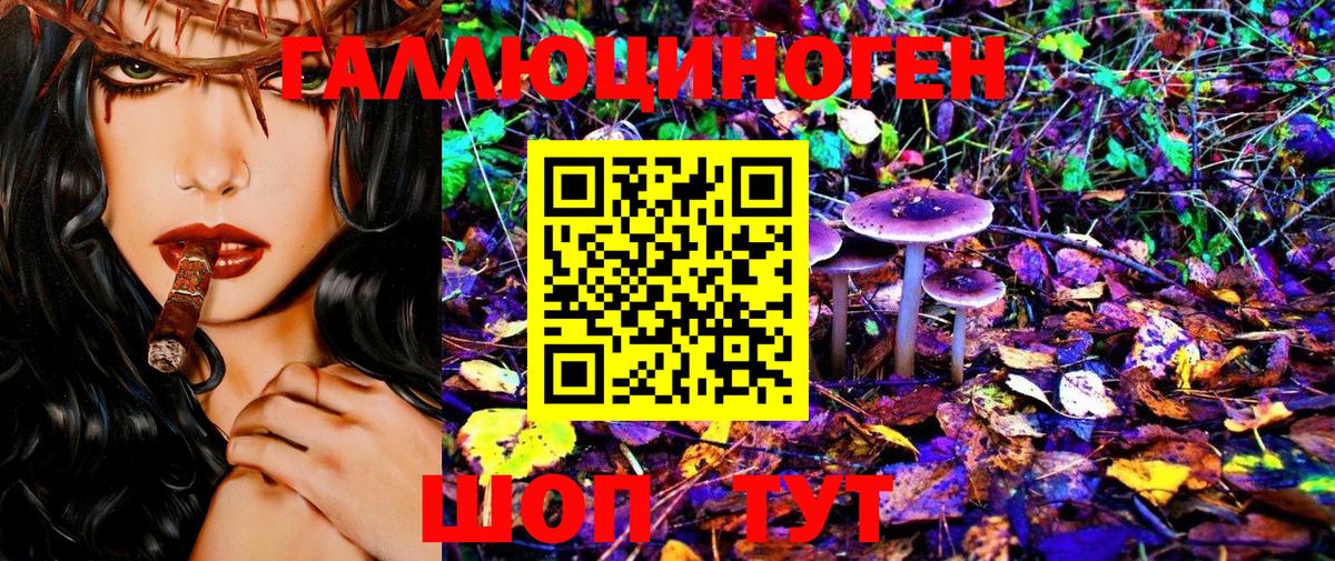 Можайск  Галлюциногенные грибы Cubensis  Вход с VPN  Псилоцибиновые грибы MAGIC MUSHROOMS 